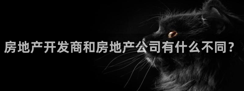 永利股份怎么樣