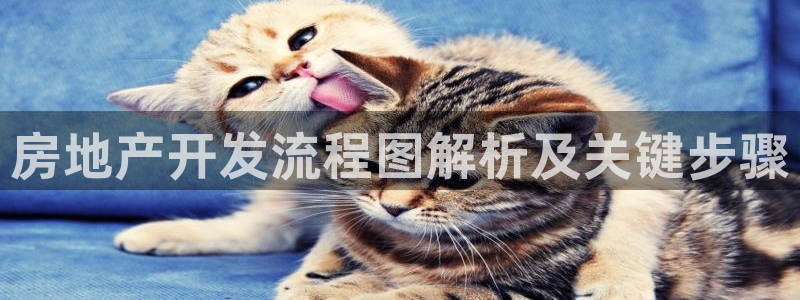 永利酒店購(gòu)物