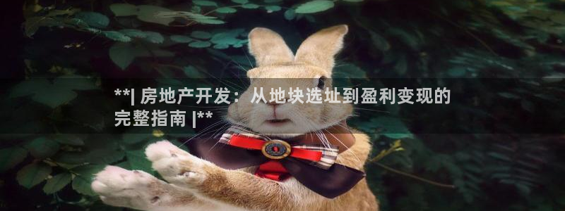 永利帶業(yè)股票