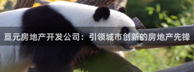 澳門永利陳志玲什么地方人