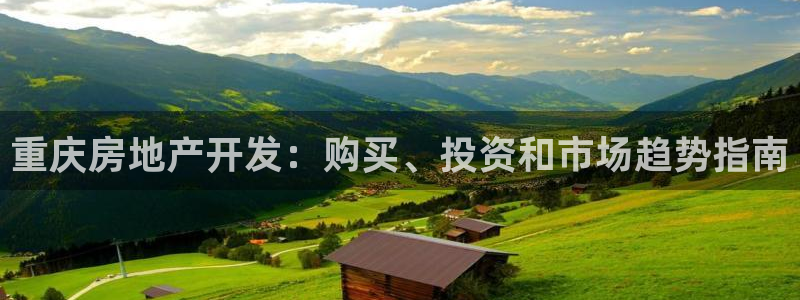 永利集團簡介及地址