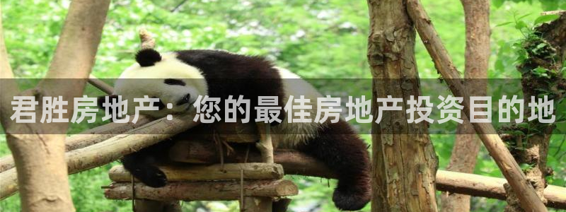 有人在永利贏過錢的嗎