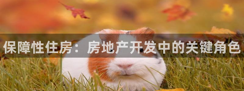 永利汽車零部件有限公司