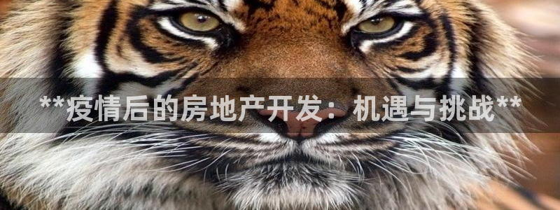 澳門永利游樂網(wǎng)址