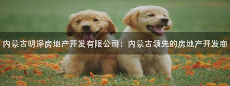 永利輸?shù)腻X可以弄回來嗎現(xiàn)在