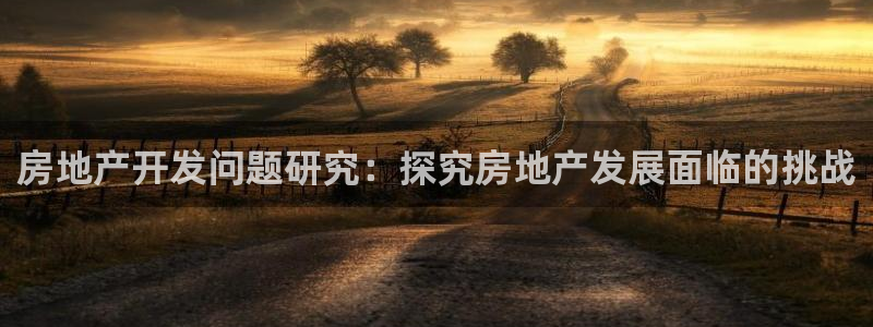 永利房地產(chǎn)開發(fā)有限公司總經(jīng)理