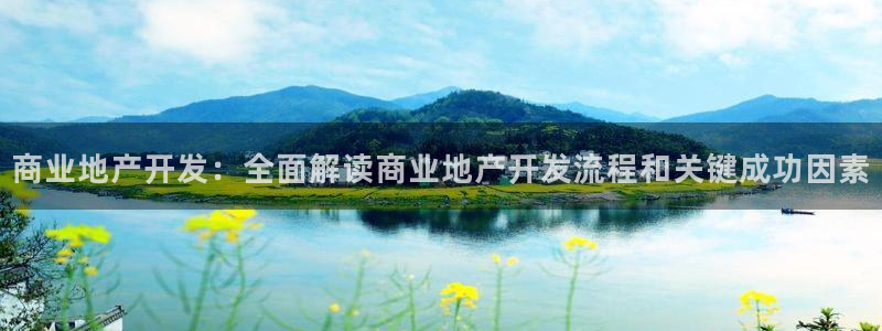 永利股份做什么