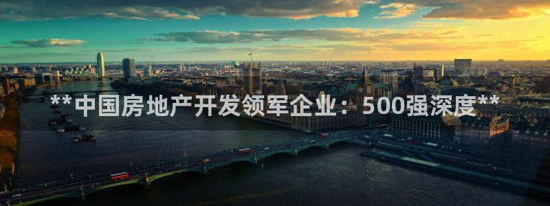 永利地產(chǎn)工程有限公司