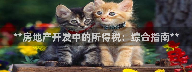 澳門永利 陳志玲