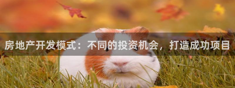 永利游樂城網(wǎng)址是多少