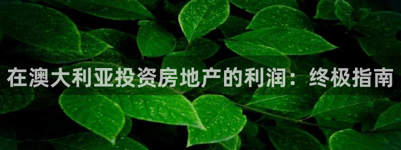 永利背一分什么價格