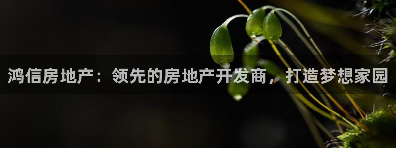 永利 官網(wǎng)