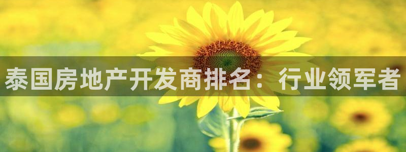 佛山王永利工業(yè)皮帶有限公司