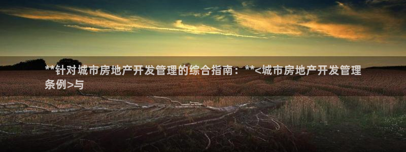 永利房地產(chǎn)開發(fā)有限公司總經(jīng)理