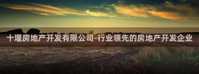 澳門永利集閉游誤樂