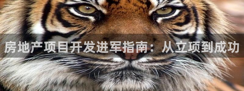 永利官網(wǎng)誤樂域一個幣多少錢