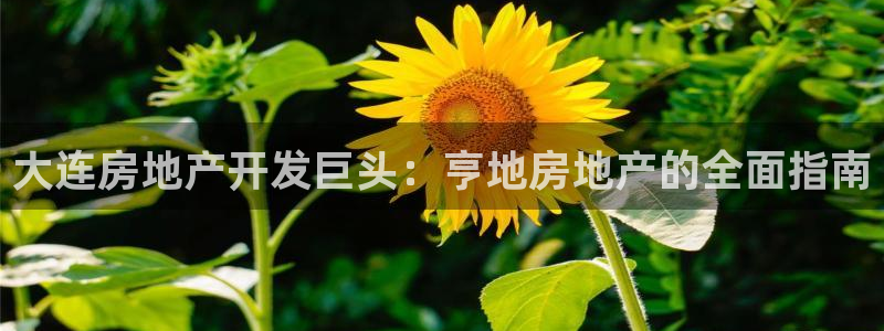 3044am永利集團 官網